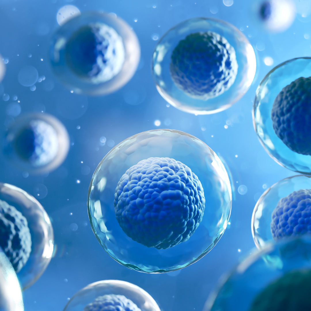 ヒト幹細胞培養上清の製品の紹介 – ZEROONE